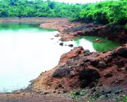 Goa Villagers Demand Wetland Protection, Threaten Agitation Over Bondvoll Lake