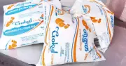 Gokul Dairy Raises Buffalo Milk Price by Rs 2 per Litre Amid Fodder Shortage