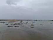 Gujarat Launches Major Water Conservation Project in Little Rann of Kutch