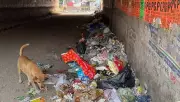Gurgaon's Islampur Underpass Becomes Illegal Dumping Site, Causes Commuter Woes