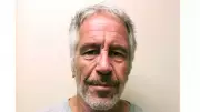 Harvard Places Professor on Leave Amid Epstein Fallout, Launches New Investigation