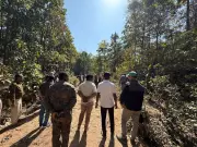 Hazaribag Officials to Radio-Collar Aggressive Elephant Matriarch After Fatal Attacks