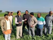 Himachal Progressive Growers Trained in Natural Farming Methods