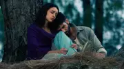 Hrithik Roshan Faces Backlash for Praising 'O Romeo', Netizens Recall 'Dhurandhar'