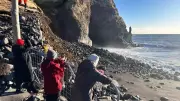 Iceland's Iconic Black Sand Beach Faces Rapid Erosion Crisis