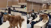 IIT Bombay's Viral 'Dogesh Bhai' Classroom Video Captivates Internet
