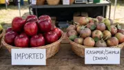 Imported vs Indian Apples: Hyderabad Doctor Reveals Healthier Choice