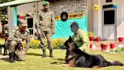 Indian Army's Canine Hero Tyson Recovers After Kishtwar Operation Success
