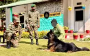 Indian Army's Canine Soldier Tyson Recovers After Being Shot in Jammu & Kashmir