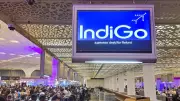 IndiGo's December Crisis: 12% Passenger Drop, Market Share Still Rises to 64%