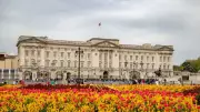 Inside Buckingham Palace: A Visual Tour of 7 Stunning Royal Interiors