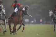 Jaipur Polo Season 2026: Sirmour Cup Semi-Finals Set for Friday Showdown