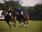 Jindal Bedla Triumphs 11-3 Over Trojans in Leela Maharaja Sawai Man Singh Polo Cup