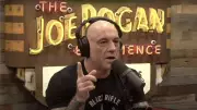 Joe Rogan Reveals Why He Quit Fighting: Brain Trauma and Financial Reality