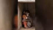 Kajol's 'Little Monkey Punch' from Kuch Kuch Hota Hai Sparks Viral Internet Trend