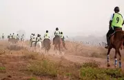 Karjat Hosts National Endurance Qualifier: Precision Over Speed in Equestrian Test