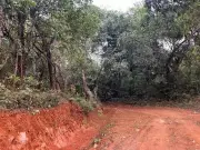 Karnataka Forest Minister Demands Report on Kudremukh National Park Earthwork