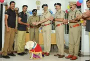 Kerala Police's First Narcotic Sniffer Dog 'Neeli' Retires After 11 Years of Service