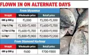 Kolkata's Off-Season Hilsa Surprise: Fresh Supply from Myanmar and Diamond Harbour