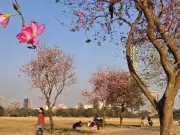 Kolkata's Temperature Crosses 30°C After Nearly Three Months, Expected to Rise Further