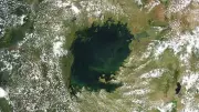 Lake Victoria's Toxic Green Transformation: A Permanent Crisis Unfolds
