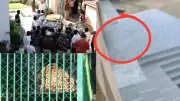 Leopard Enters Ghaziabad School, Rescued After 8-Hour Operation