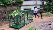Leopard Spotted Near Doctor's Colony in Mangaluru, Caught on Camera