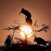 Lucknow Braces for Warmer Days with Clear Skies, Rising Temperatures