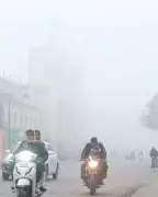 Lucknow Wakes to Dense Fog, Chilly Mornings; Cold Spell to Continue