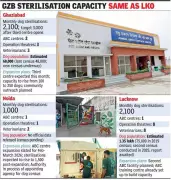 Lucknow's Stray Dog Sterilization Model Emerges as National Blueprint Amid Supreme Court Deliberations