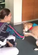 Madhuri Dixit and Dr. Shriram Nene Share Heartwarming Pet Day Montage