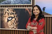 Madras High Court Summons Forest Secretary Over Unreleased Conservation Funds