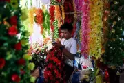 Maharashtra to Tighten Ban on Plastic Flowers, Protect Floriculture Farmers