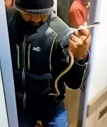 Man Arrested for Releasing Snake in Vande Bharat Express Toilet to Create Panic