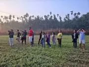 Manipal Bird Day 2024: 130 Species Documented in Citizen Science Initiative