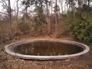 Marathwada Wildlife Sanctuaries Face Water Crisis as Summer Temperatures Soar