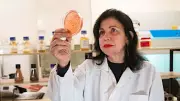 Mariangela Hungria's Soil Bacteria Research Wins World Food Prize, Transforms Agriculture