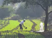 Mega Watershed Project in Nanded Aims to Double Farmer Income Across 5 Districts