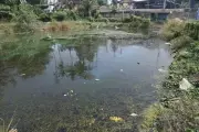 Moilykere Lake in Mangaluru Faces Pollution Crisis from Sewage Contamination