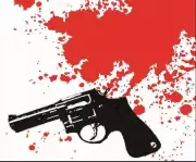 Motorcycle Assailants Fire at Builder's Office in Delhi's Bindapur Area