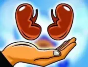 Mumbai Sees Three Organ Donations in 24 Hours, Highlighting Critical Need