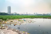 Mumbai to Install Coastal Barriers to Halt Plastic Waste Flow into Arabian Sea