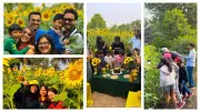 Mumbai's Sunflower Farms: A Golden Weekend Escape for Families and Pets