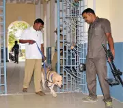 Mysuru Police Dog Squads Crack 984 Cases in 5 Years, Statewide Total Hits 2,331