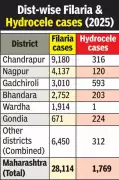 Nagpur Division Bears 75% of Maharashtra's Filaria Burden, Chandrapur Worst Hit