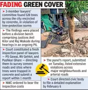 Nagpur HC Panel Finds 528 Trees Encased in Concrete, Violating Protection Norms