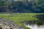 Nagpur's Ambazari Lake Crisis: NEERI Warns No Quick Fix Without Halting Sewage Inflow