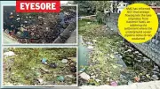 Nagpur's Futala Lake Faces Sewage Crisis Amid Restoration Efforts
