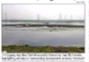 Najafgarh Jheel Ecological Crisis: Disrupted Drainage, Encroachment Threaten Wetland