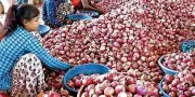 Nashik Onion Farmers Protest Price Drop, Demand MSP and Financial Relief